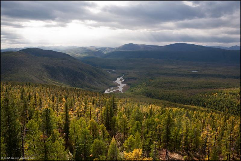 foret-riviere-baikal-lac-russie-24