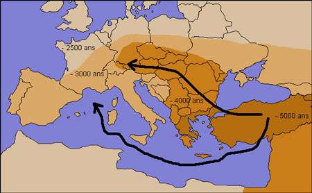 c5479637f2_50063329_4102-cuivre-601b