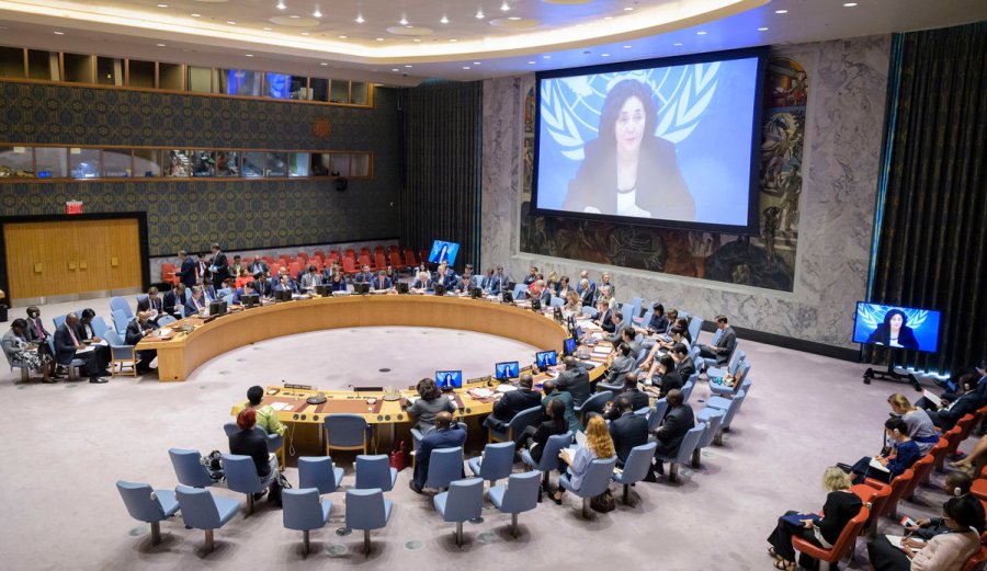 The situation concerning the DemocraticRepublic of the Congo