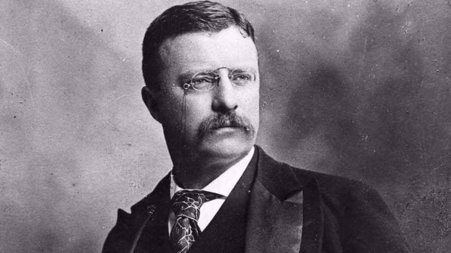 Teddy-Roosevelt-and-trust-busting