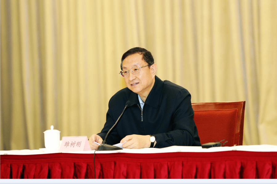 Cultural and Tourism Minister Luo Shugang speaks at the conference. [Photo by Wang Zhenbo Chinaculture.org]