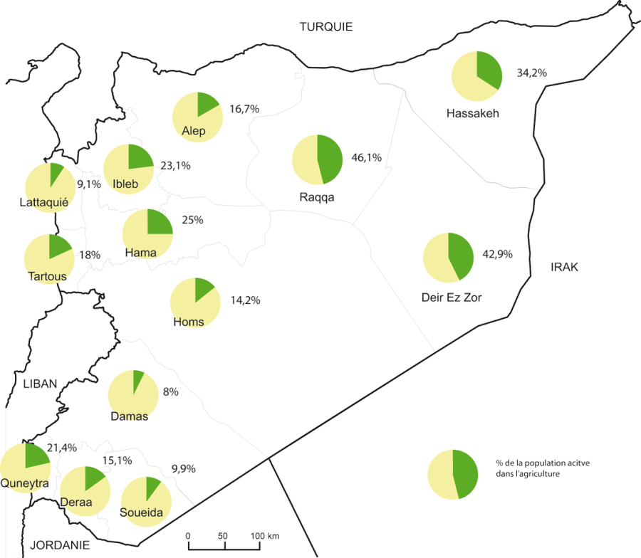 img-4 La population active dans l’agriculture par muhafaza en 2004 syrie