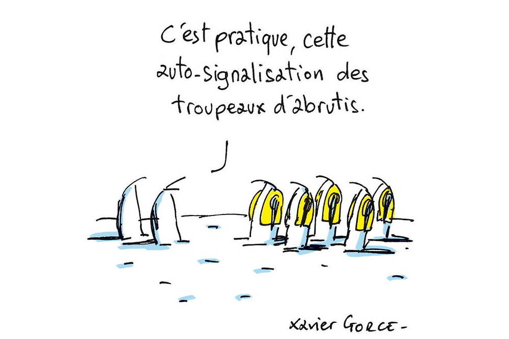 21250488-21250567-g-jpg_7648496_1000x667