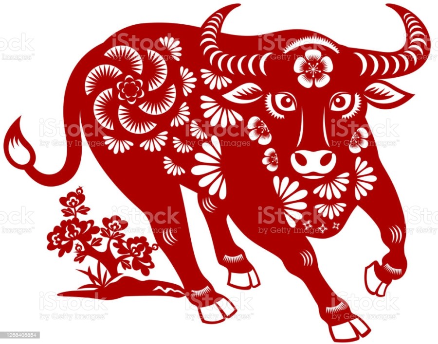 istockphoto-1268405854-1024x1024