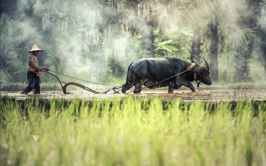 Brèves-visuel ASEAN