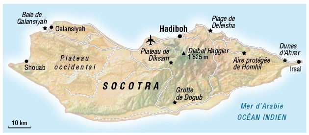 socotra12